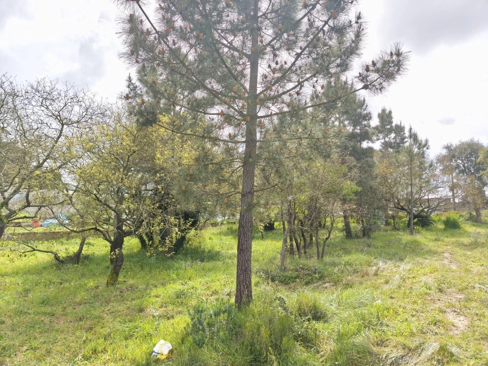Terreno para Venda em Mafra Foto 9