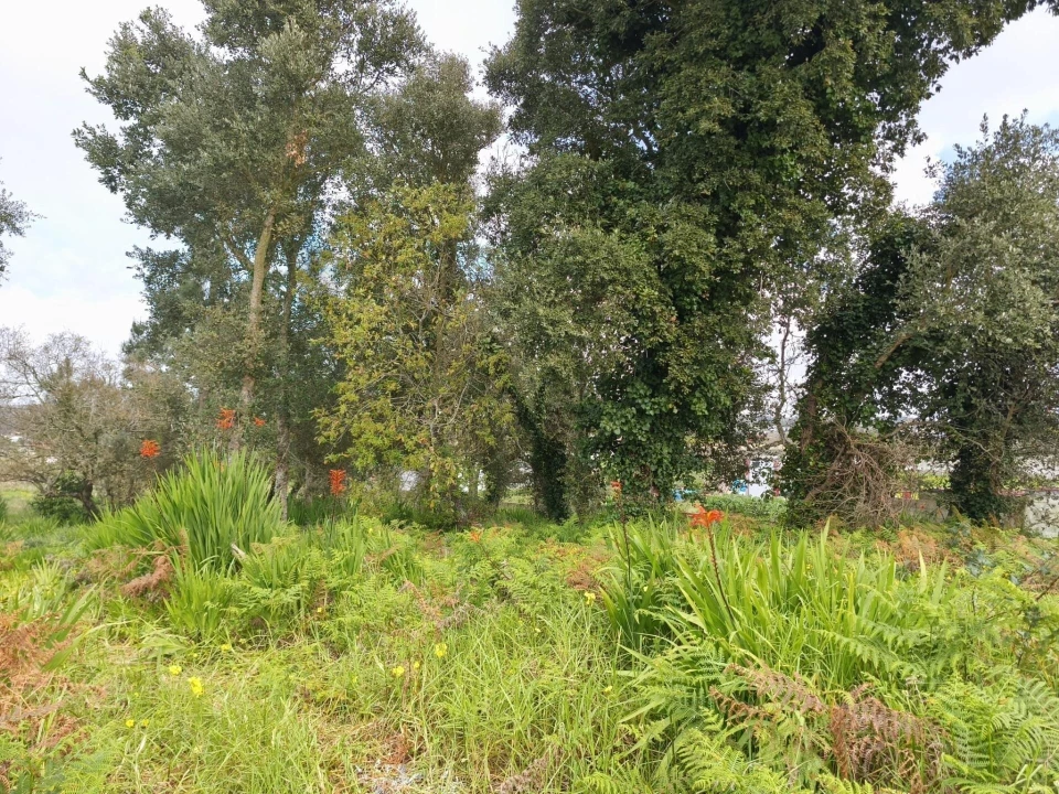Terreno para Venda em Mafra Foto 6