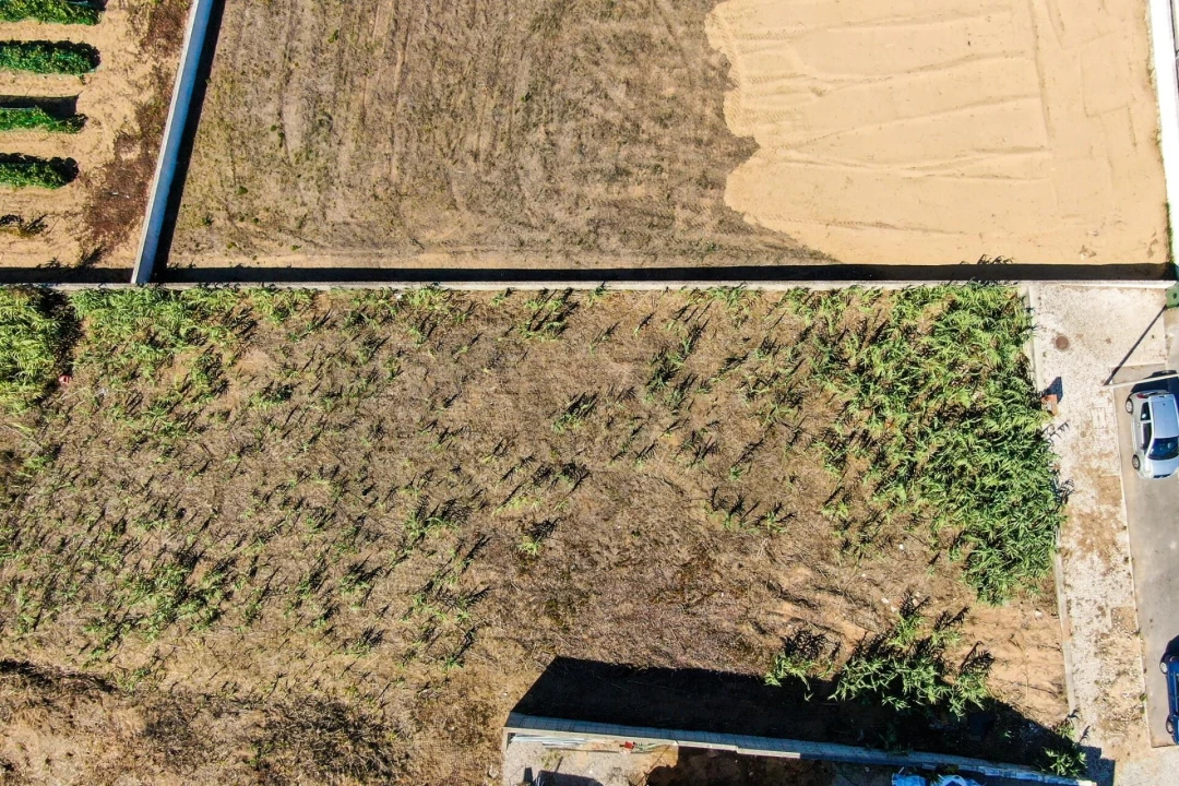 Terreno para Venda em Colares Foto 5