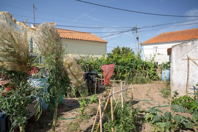 Moradia T3 para Venda em Santa Maria e São Miguel, São Martinho, São Pedro Penaferrim Foto 40
