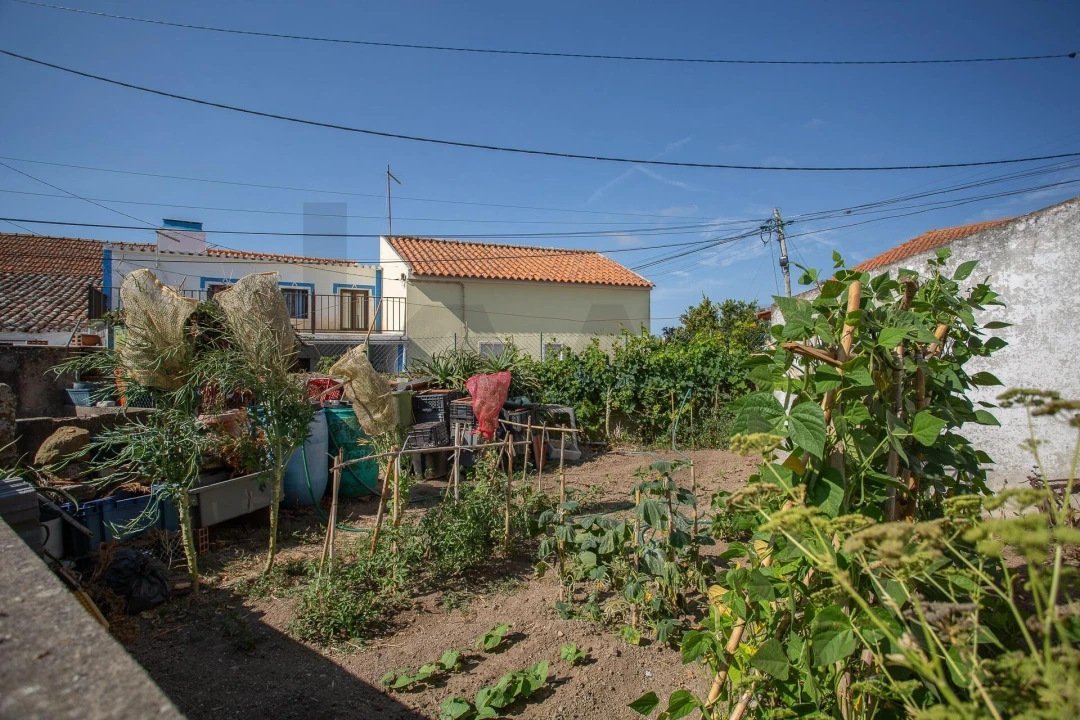Moradia T3 para Venda em Santa Maria e São Miguel, São Martinho, São Pedro Penaferrim Foto 39
