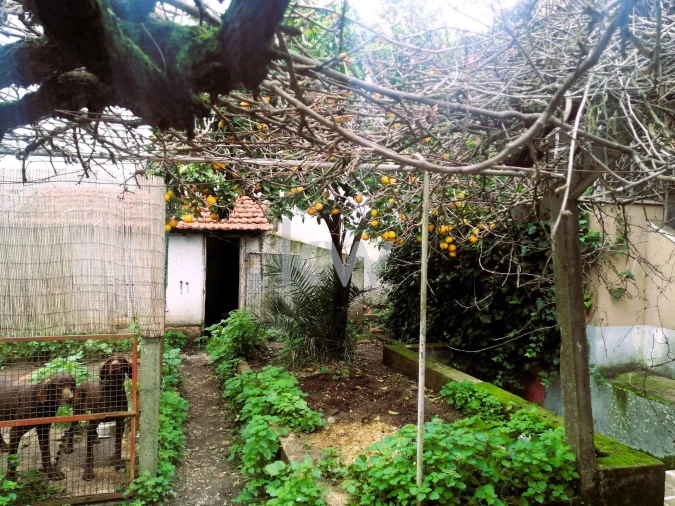 Moradia T4 para Venda em Venteira Foto 14