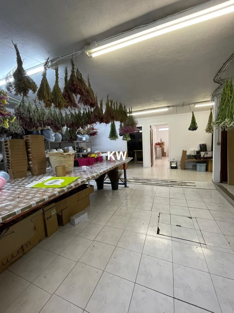 Loja para Venda em Ramalde Foto 14
