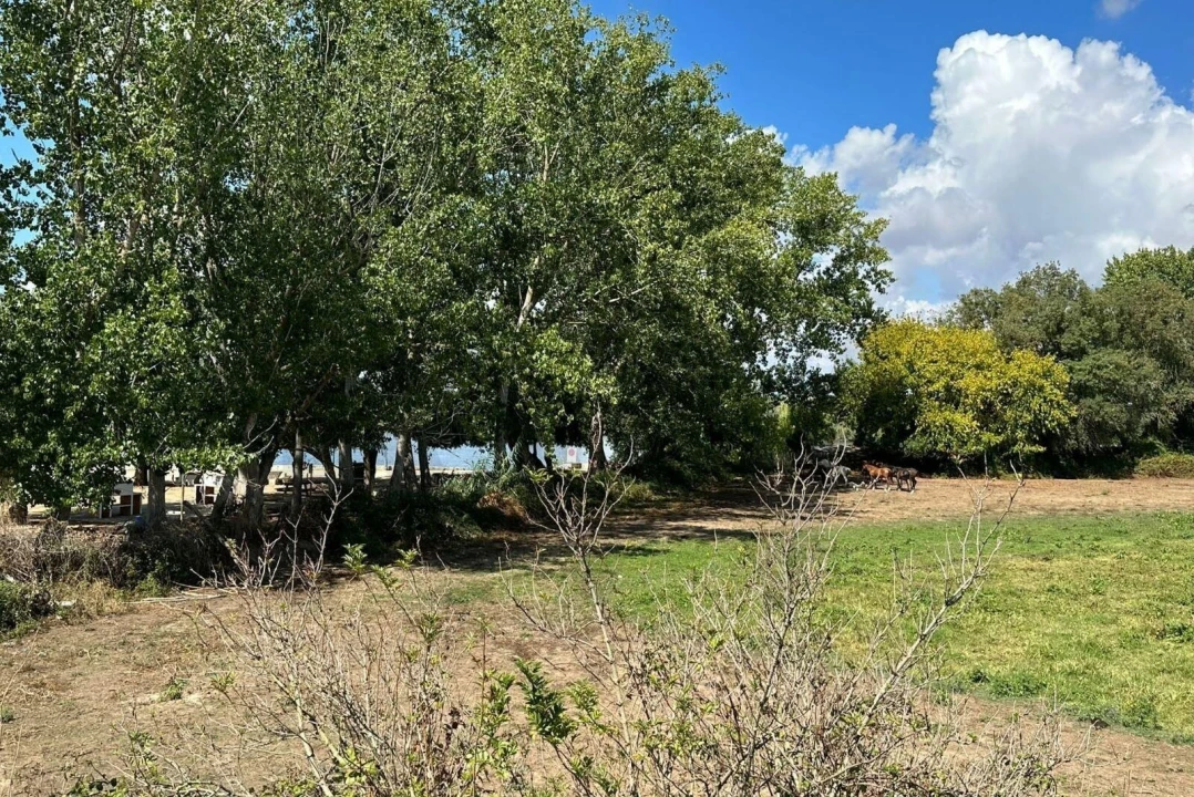Moradia T2 para Venda em Salvaterra de Magos e Foros de Salvaterra Foto 19