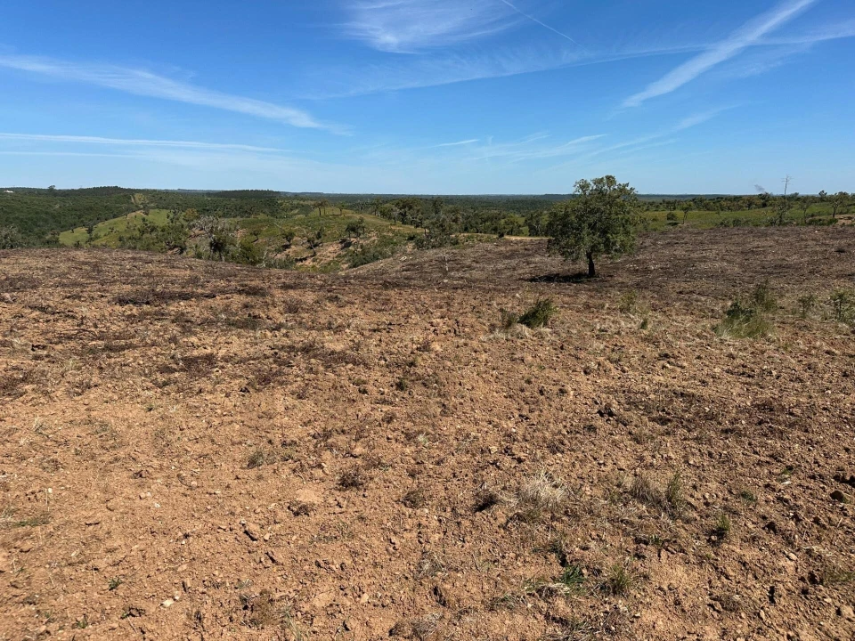 Quinta T3 para Venda em Santiago do Cacém, Santa Cruz e São Bartolomeu da Serra Foto 12