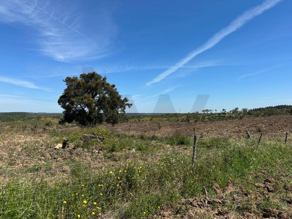 Quinta T3 para Venda em Santiago do Cacém, Santa Cruz e São Bartolomeu da Serra Foto 8