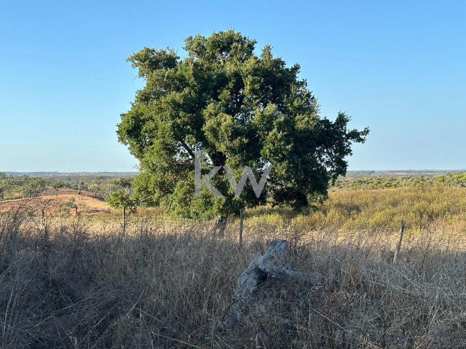 Quinta T3 para Venda em Santiago do Cacém, Santa Cruz e São Bartolomeu da Serra Foto 9