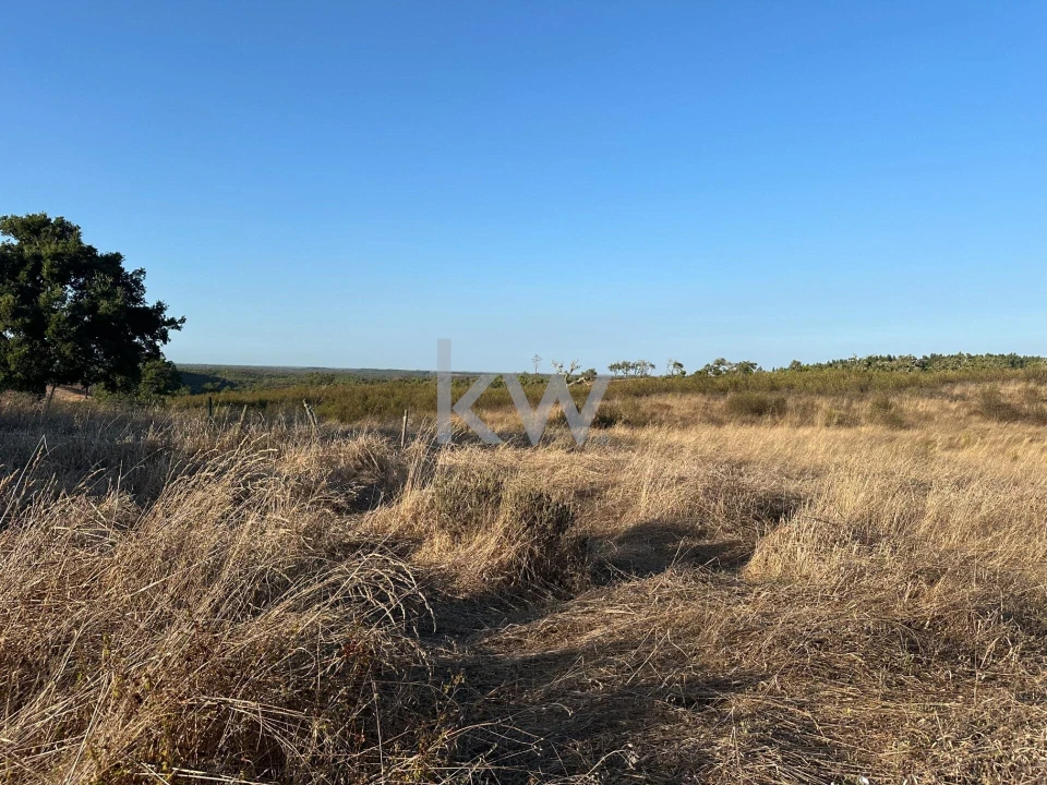 Quinta T3 para Venda em Santiago do Cacém, Santa Cruz e São Bartolomeu da Serra Foto 2