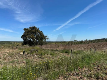 Quinta T3 para Venda em Santiago do Cacém, Santa Cruz e São Bartolomeu da Serra