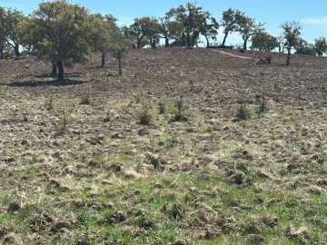 Quinta T3 para Venda em Santiago do Cacém, Santa Cruz e São Bartolomeu da Serra