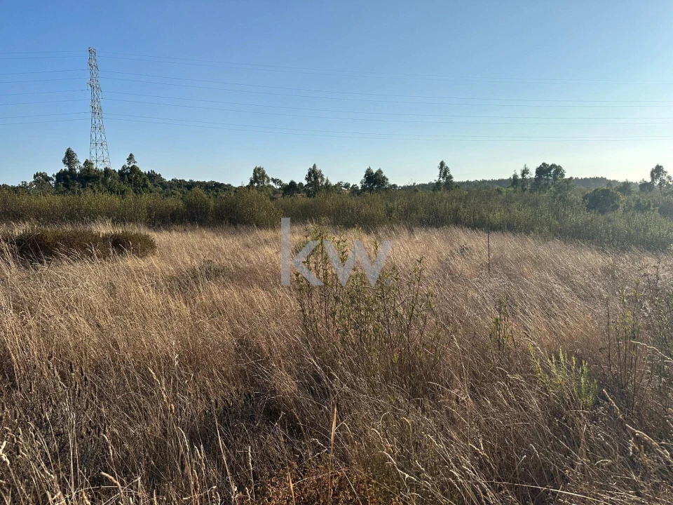 Quinta T3 para Venda em Santiago do Cacém, Santa Cruz e São Bartolomeu da Serra Foto 4