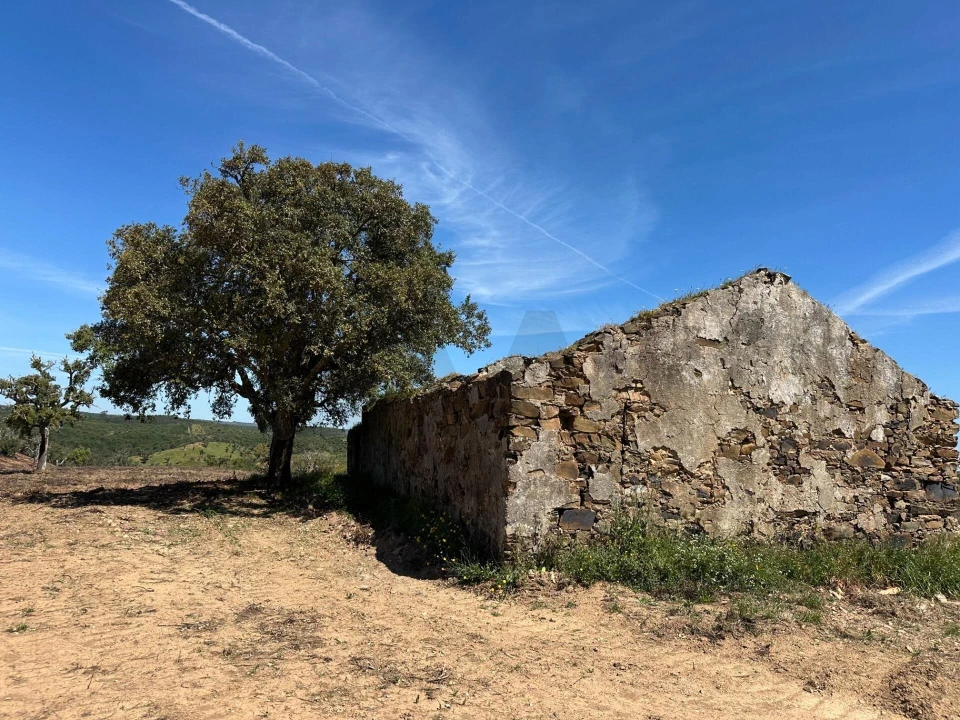 Quinta T3 para Venda em Santiago do Cacém, Santa Cruz e São Bartolomeu da Serra Foto 14