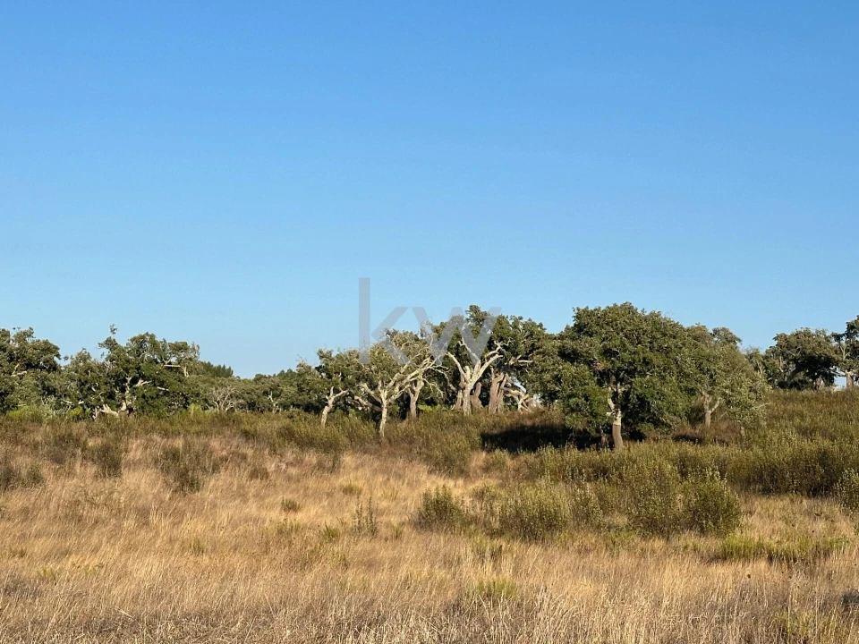 Quinta T3 para Venda em Santiago do Cacém, Santa Cruz e São Bartolomeu da Serra Foto 6