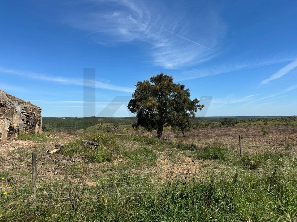 Quinta T3 para Venda em Santiago do Cacém, Santa Cruz e São Bartolomeu da Serra Foto 10