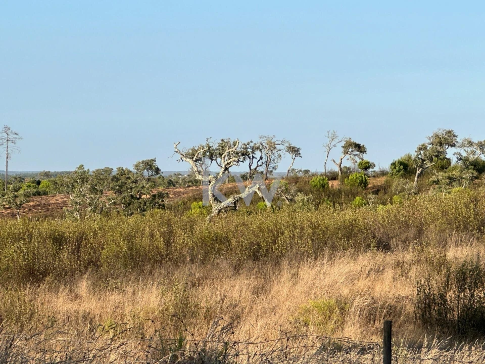 Quinta T3 para Venda em Santiago do Cacém, Santa Cruz e São Bartolomeu da Serra Foto 8