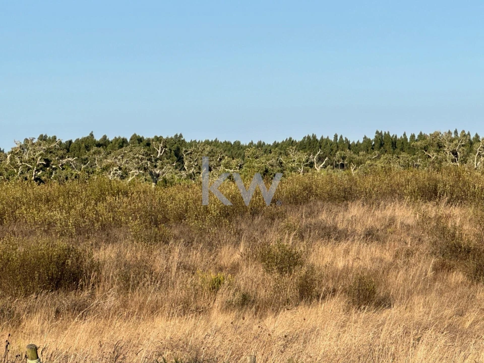 Quinta T3 para Venda em Santiago do Cacém, Santa Cruz e São Bartolomeu da Serra Foto 7