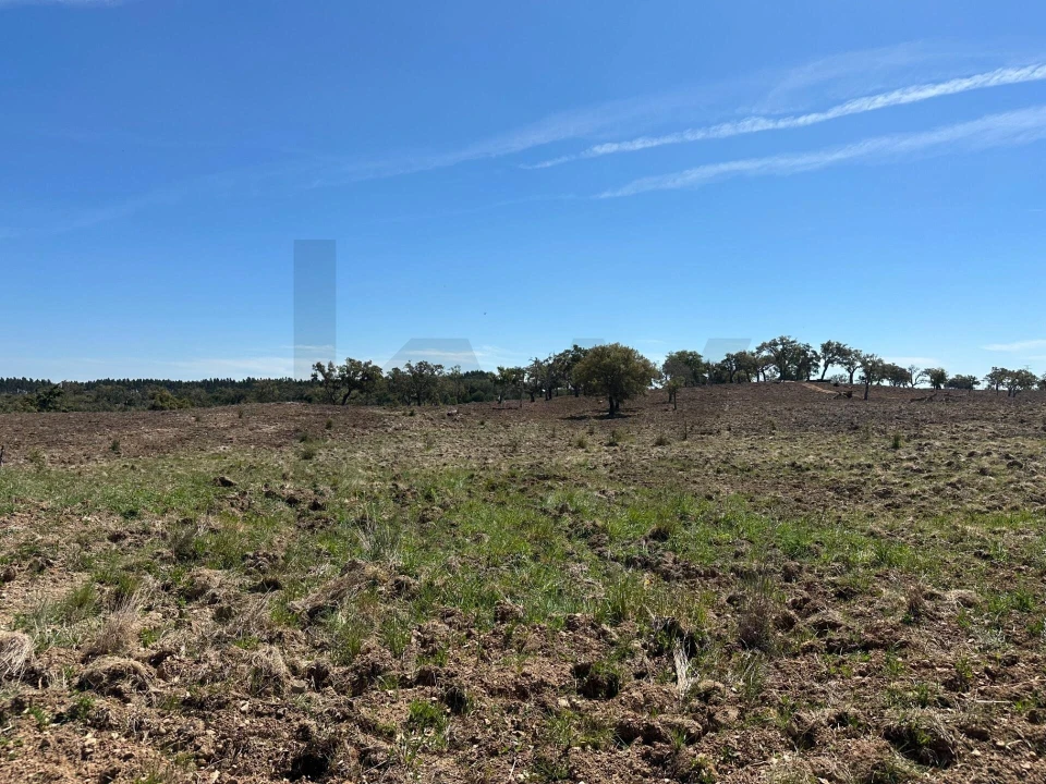 Quinta T3 para Venda em Santiago do Cacém, Santa Cruz e São Bartolomeu da Serra Foto 7