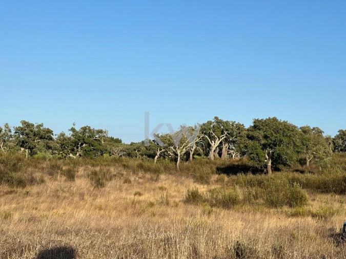 Quinta T3 para Venda em Santiago do Cacém, Santa Cruz e São Bartolomeu da Serra Foto 5
