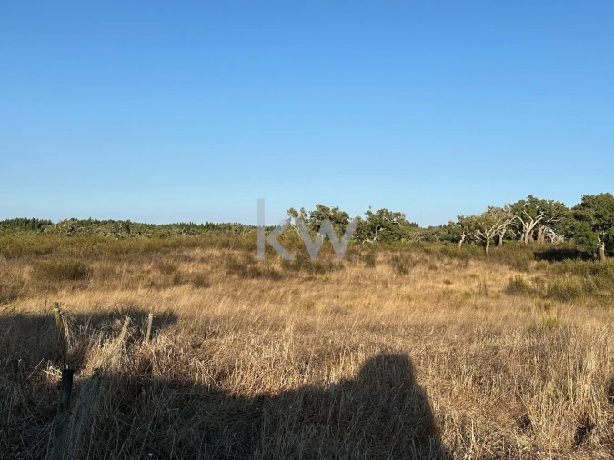 Quinta T3 para Venda em Santiago do Cacém, Santa Cruz e São Bartolomeu da Serra Foto 13