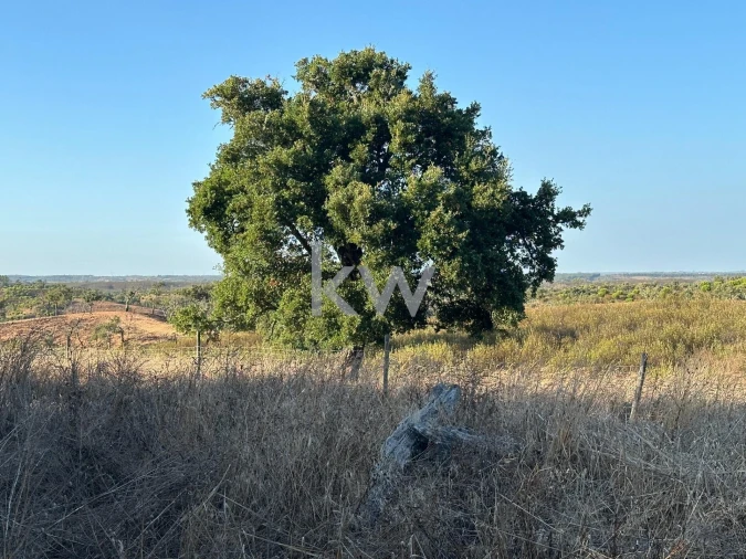 Quinta T3 para Venda em Santiago do Cacém, Santa Cruz e São Bartolomeu da Serra Foto 9