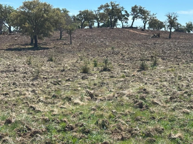 Quinta T3 para Venda em Santiago do Cacém, Santa Cruz e São Bartolomeu da Serra Foto 11