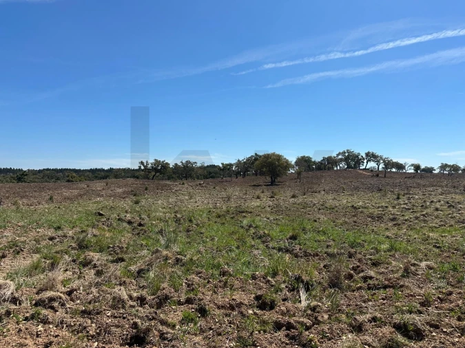 Quinta T3 para Venda em Santiago do Cacém, Santa Cruz e São Bartolomeu da Serra Foto 7