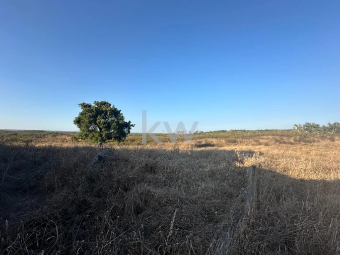 Quinta T3 para Venda em Santiago do Cacém, Santa Cruz e São Bartolomeu da Serra Foto 11
