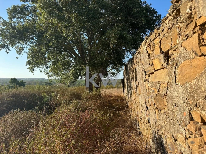 Quinta T3 para Venda em Santiago do Cacém, Santa Cruz e São Bartolomeu da Serra Foto 3