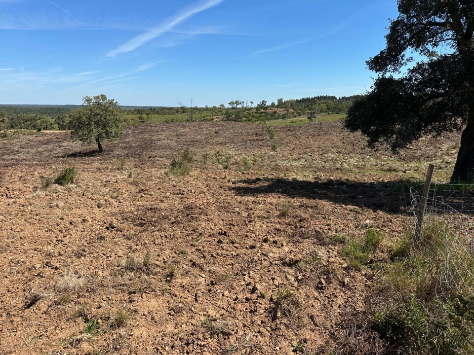 Quinta T3 para Venda em Santiago do Cacém, Santa Cruz e São Bartolomeu da Serra Foto 13