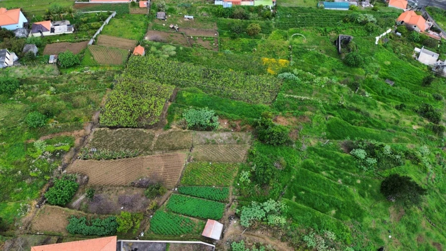 Terreno para Venda em São Vicente Foto 8