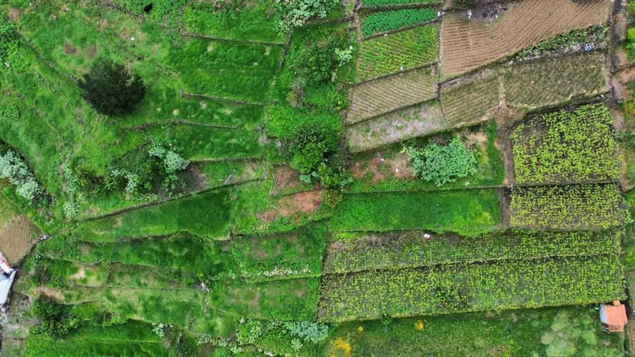 Terreno para Venda em São Vicente Foto 10