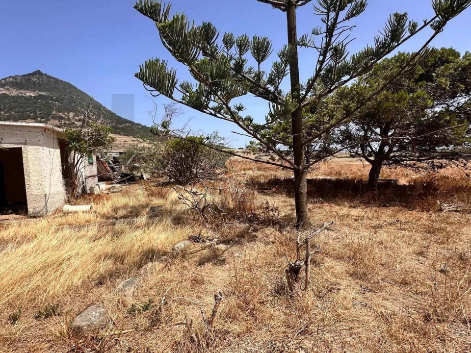 Moradia T3 para Venda em Porto Santo Foto 9