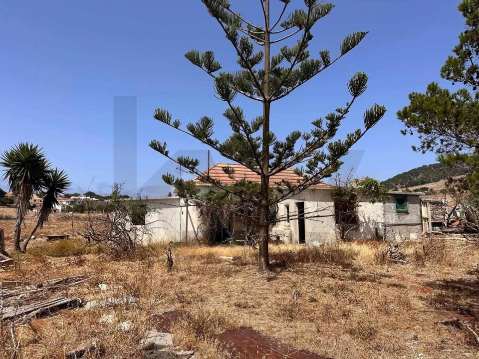 Moradia T3 para Venda em Porto Santo Foto 2