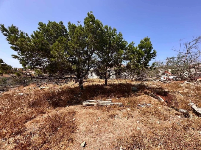 Moradia T3 para Venda em Porto Santo Foto 24