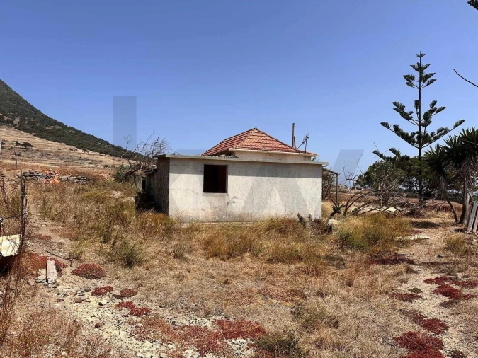 Moradia T3 para Venda em Porto Santo Foto 5