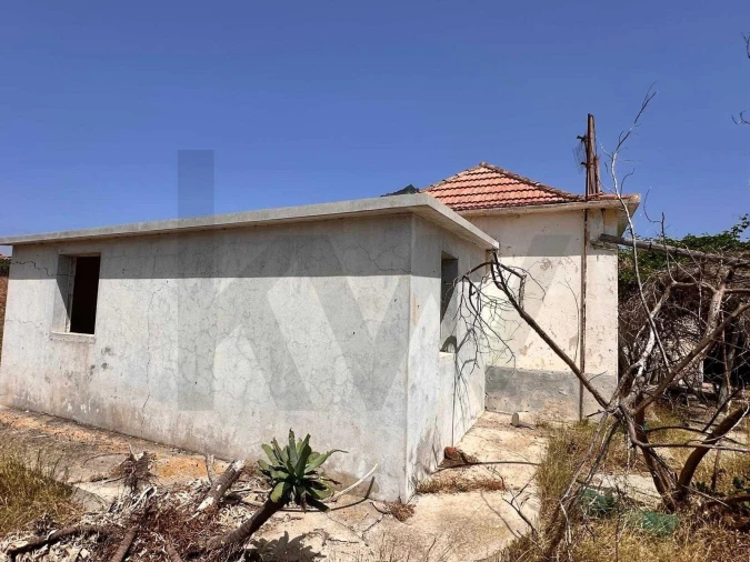 Moradia T3 para Venda em Porto Santo Foto 6