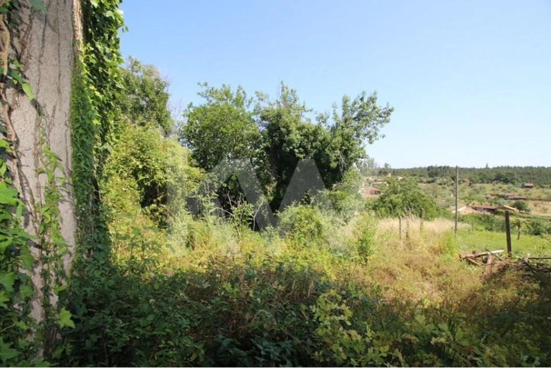 Moradia T5 para Venda em São Pedro de Alva e São Paio de Mondego Foto 14