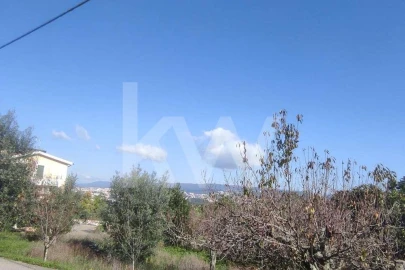 Terreno para Venda em Assafarge e Antanhol