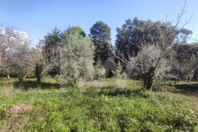 Terreno para Venda em Assafarge e Antanhol