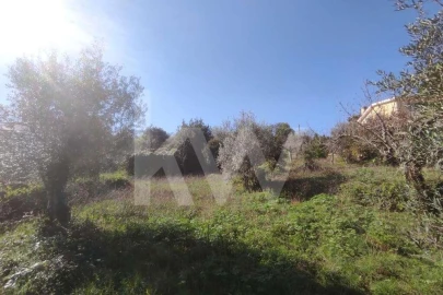 Terreno para Venda em Assafarge e Antanhol