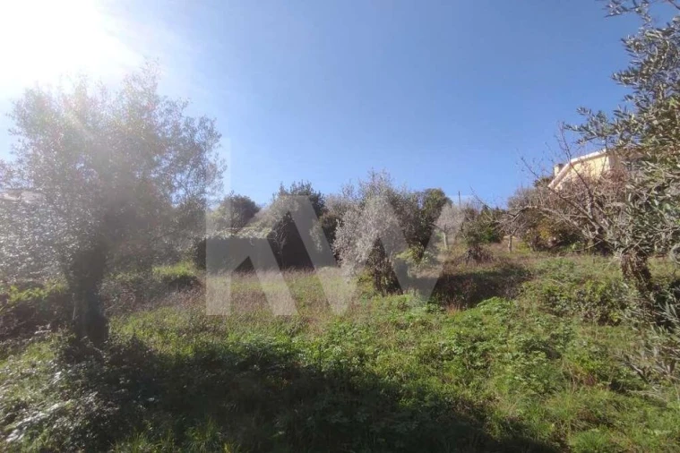 Terreno para Venda em Assafarge e Antanhol Foto 5