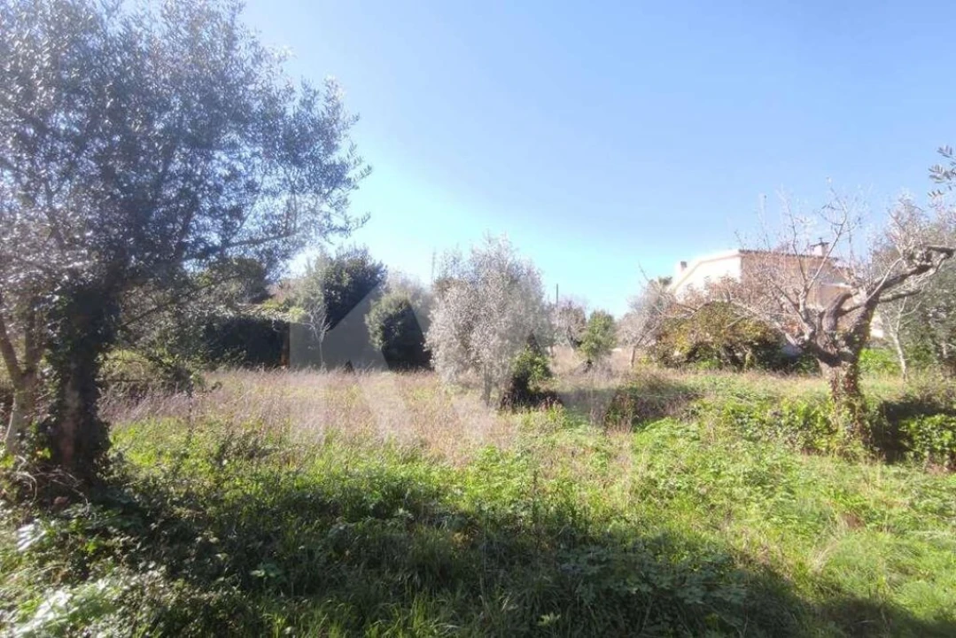 Terreno para Venda em Assafarge e Antanhol Foto 3