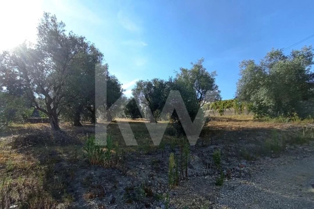 Terreno para Venda em Antuzede e Vil de Matos Foto 7
