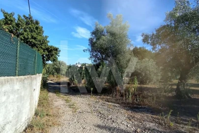 Terreno para Venda em Antuzede e Vil de Matos