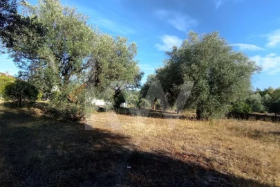 Terreno para Venda em Antuzede e Vil de Matos