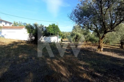 Terreno para Venda em Antuzede e Vil de Matos