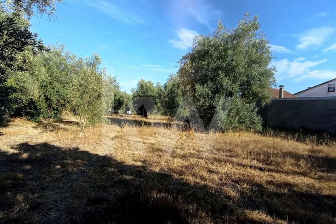 Terreno para Venda em Antuzede e Vil de Matos Foto 14