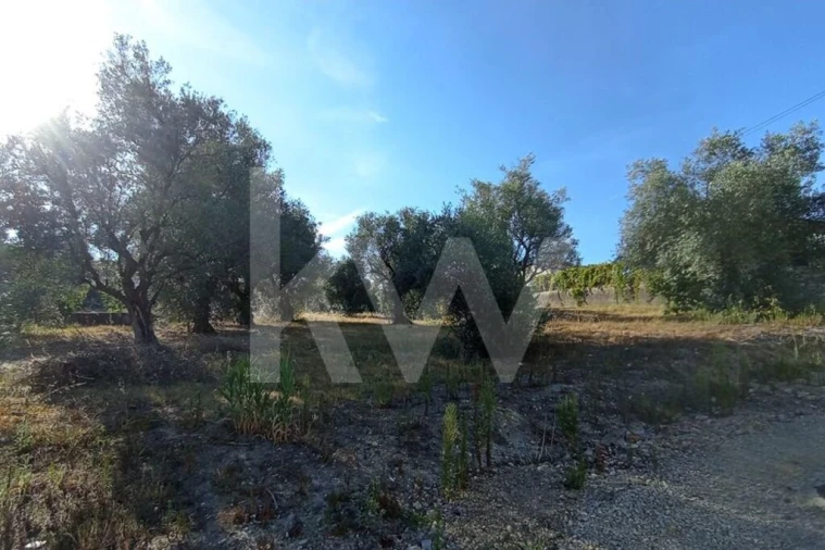 Terreno para Venda em Antuzede e Vil de Matos Foto 6