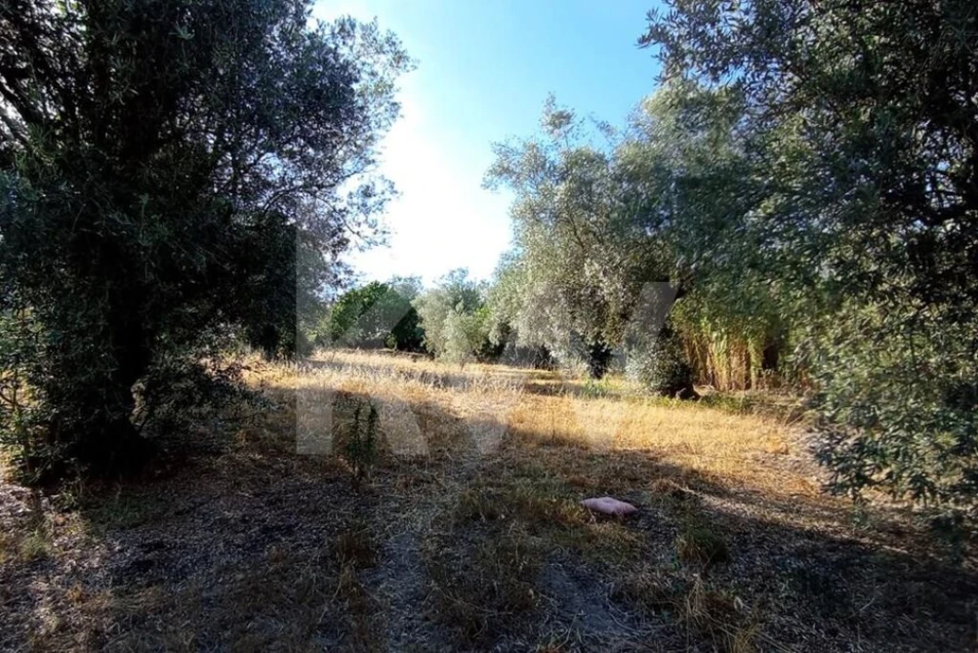 Terreno para Venda em Antuzede e Vil de Matos Foto 12