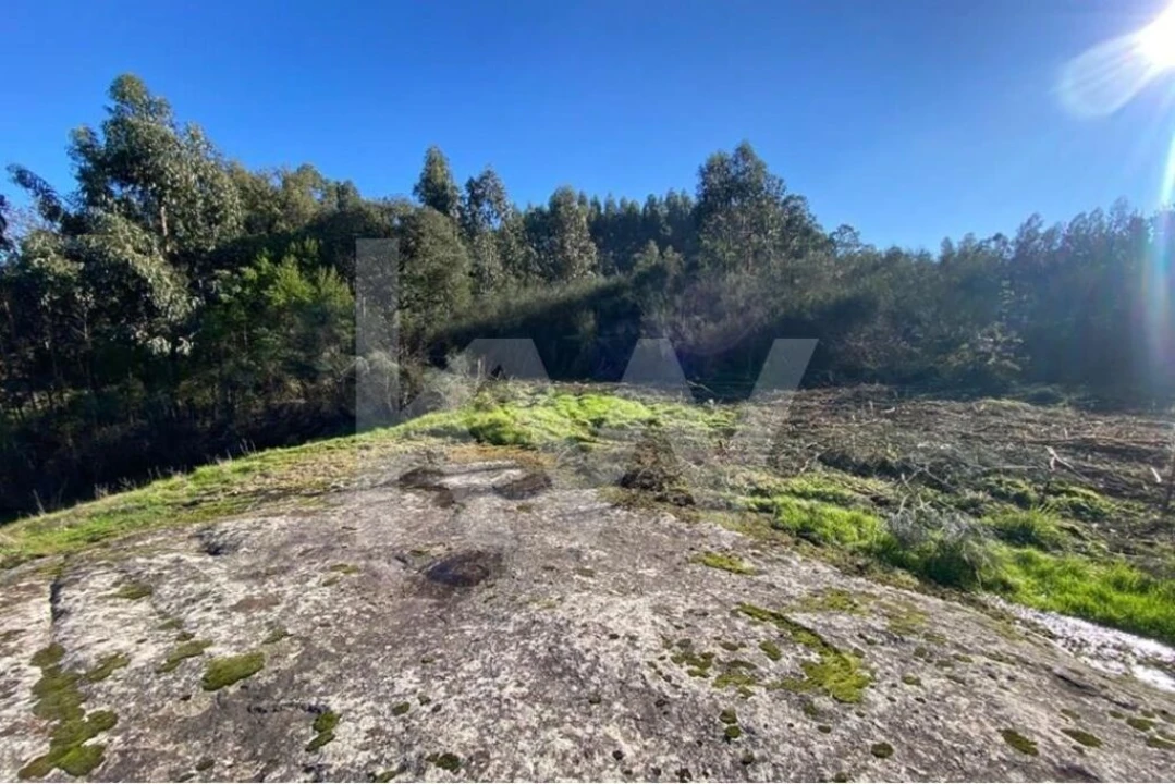 Terreno para Venda em Santo Tirso, Couto (Santa Cristina e São Miguel) e Burgães Foto 4